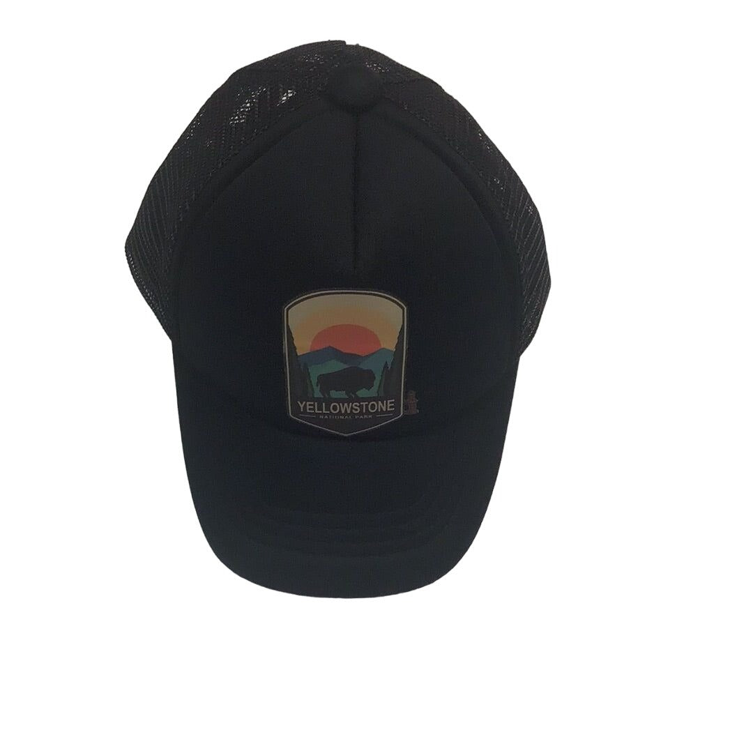 Kid Boy Yellowstone Trucker Style Hat