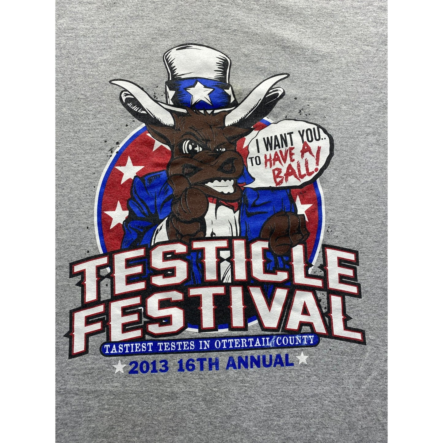 Men’s Testicle Festival Graphic Tee #5261