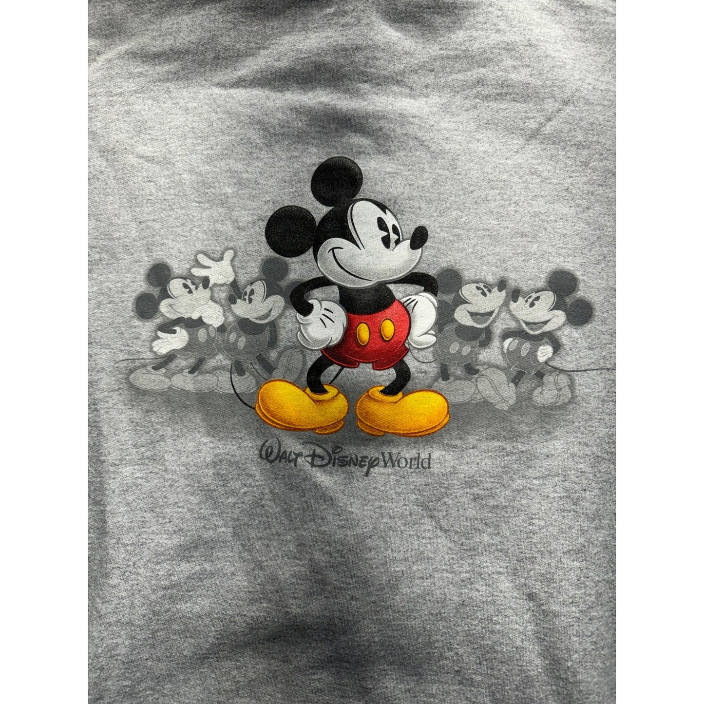 Disney World Mickey Hoodie #5108