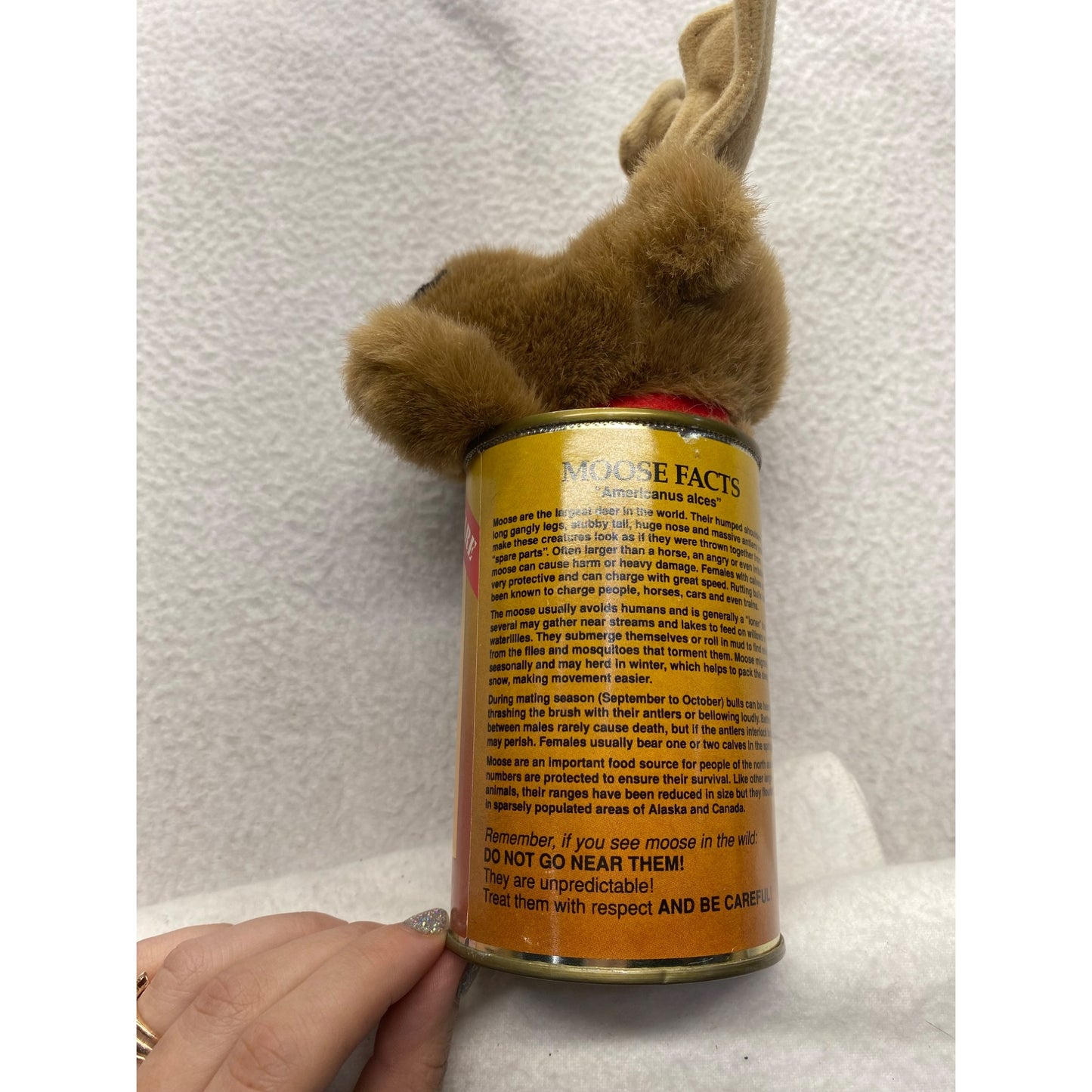 Novelty canned moose #5496