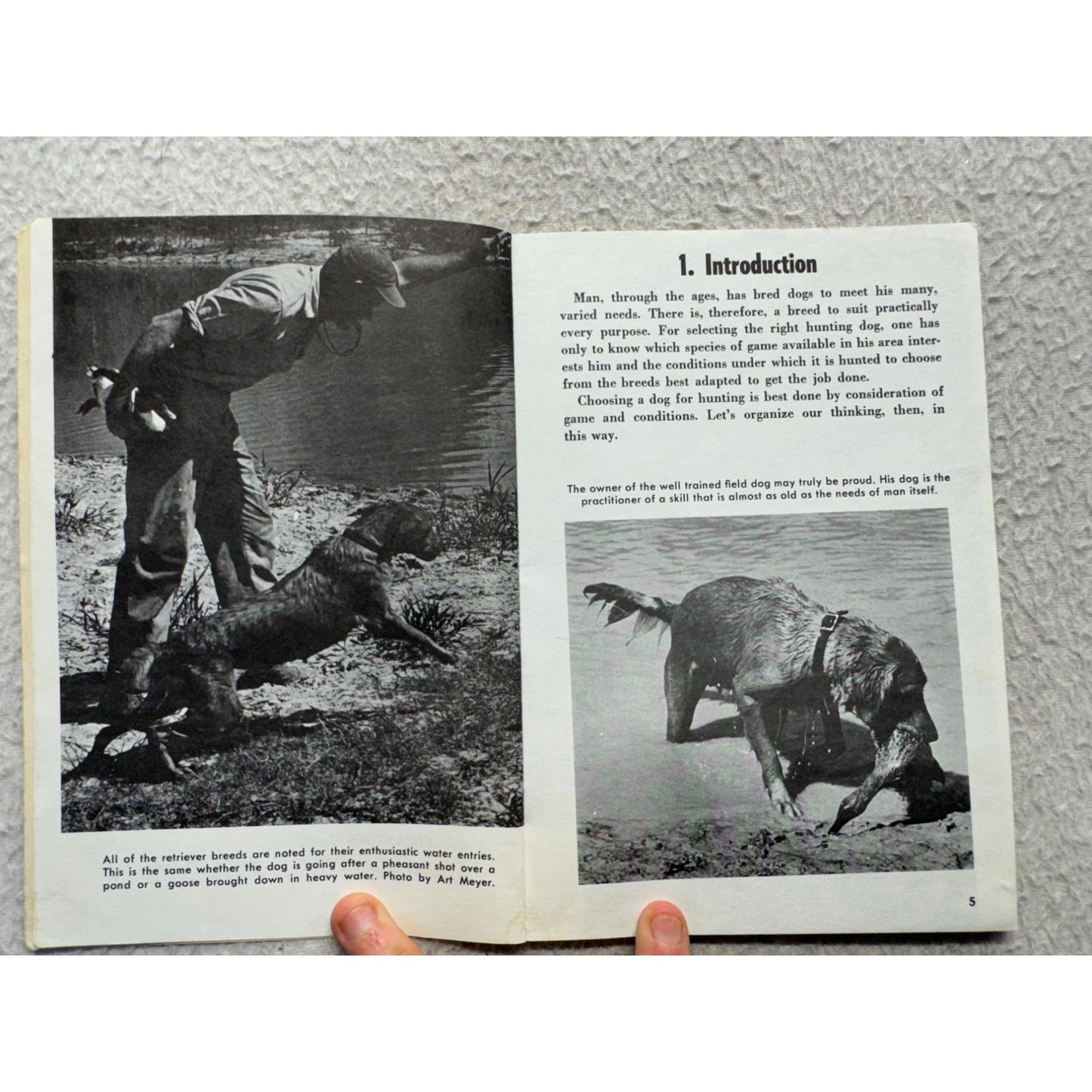 The Hunters Handbook Of Gun Dogs By Joe Stetson 429B