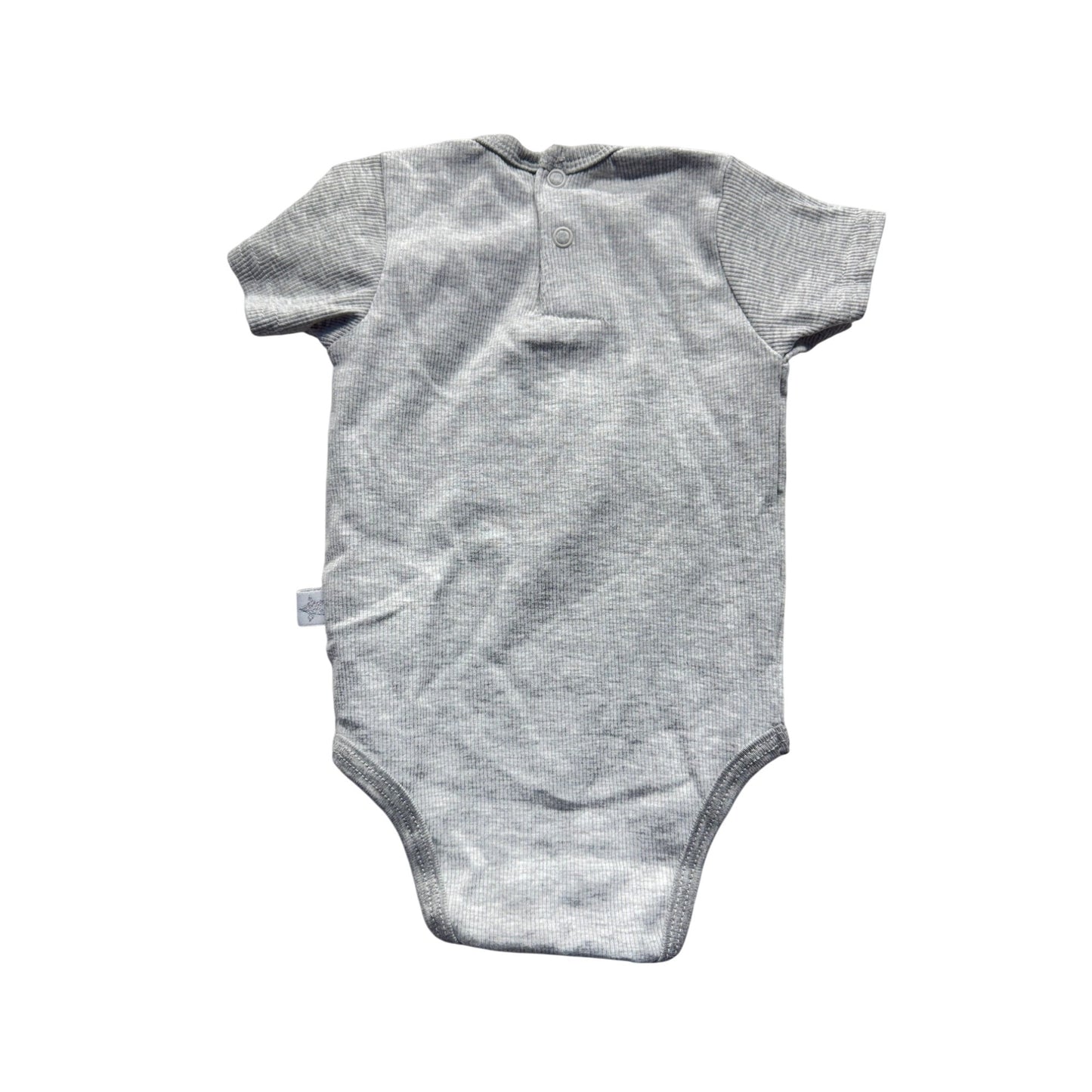 Little Joy Gray Baby Onesie With Green Dinosaur Appliqué Short Sleeves #9209
