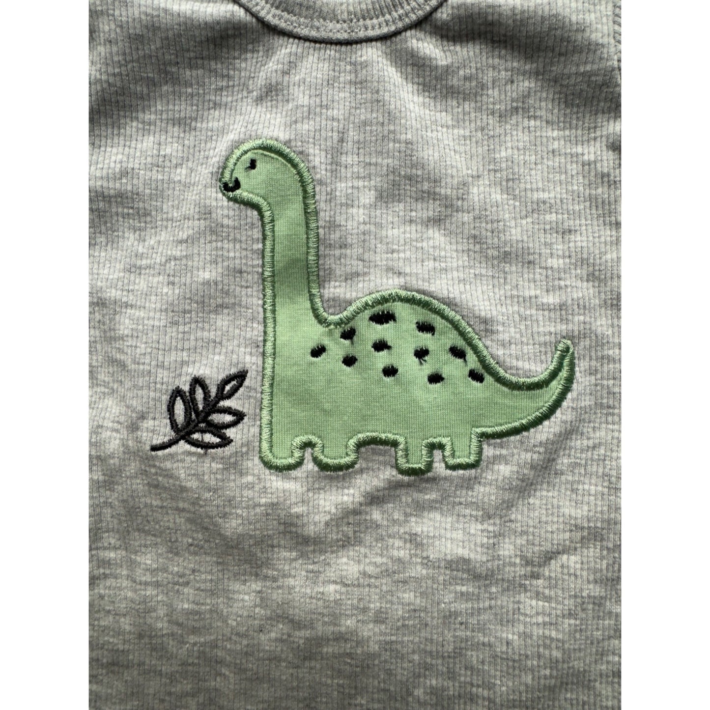 Little Joy Gray Baby Onesie With Green Dinosaur Appliqué Short Sleeves #9209